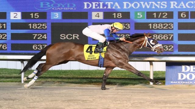 Bow Bow Girl Wins The Treasure Chest Stakes